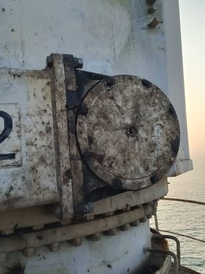 WhatsApp Image 2025-05-04 at 23.12.03_6b21797a