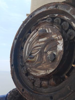 WhatsApp Image 2025-05-04 at 23.12.19_0660a8f4